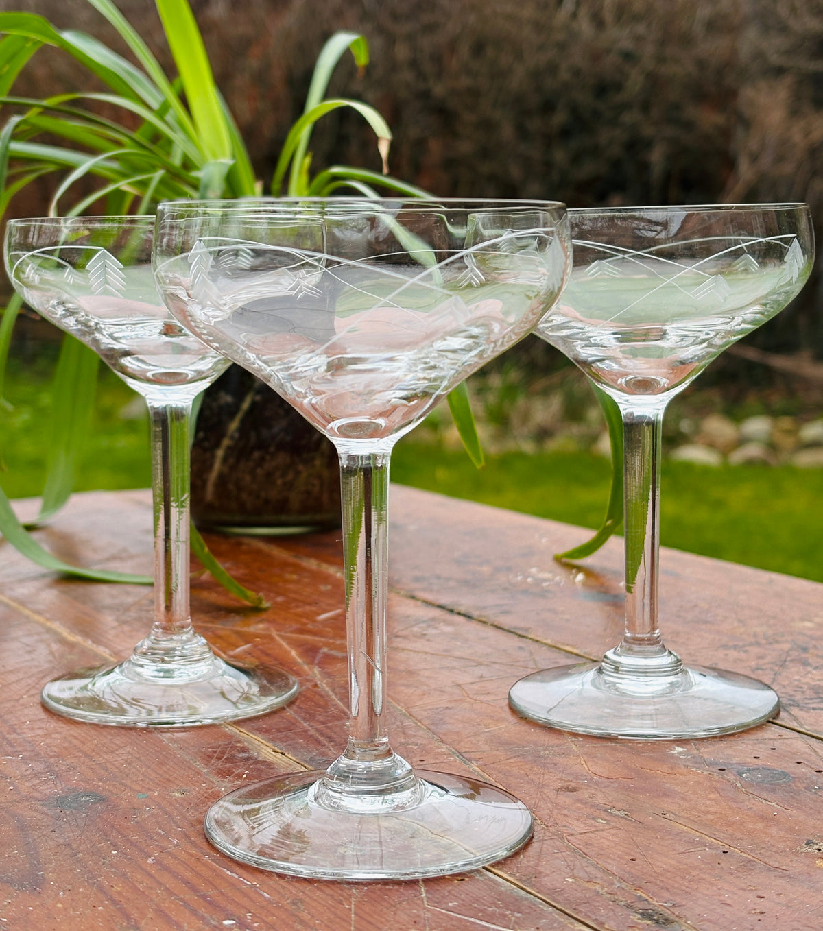 Franske champagneskåle