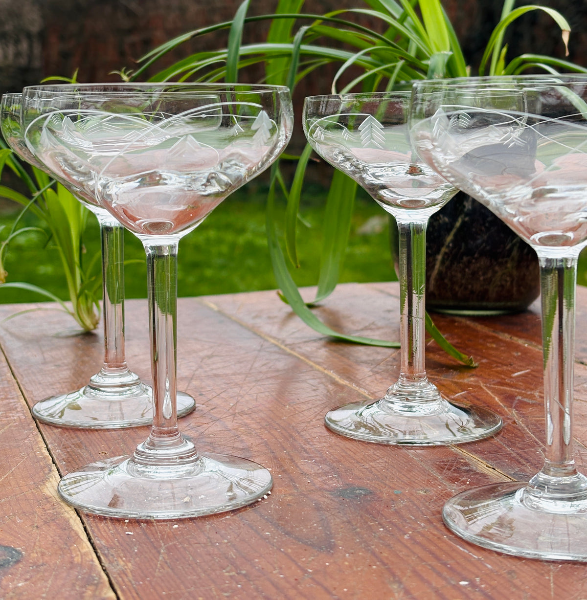 Franske champagneskåle