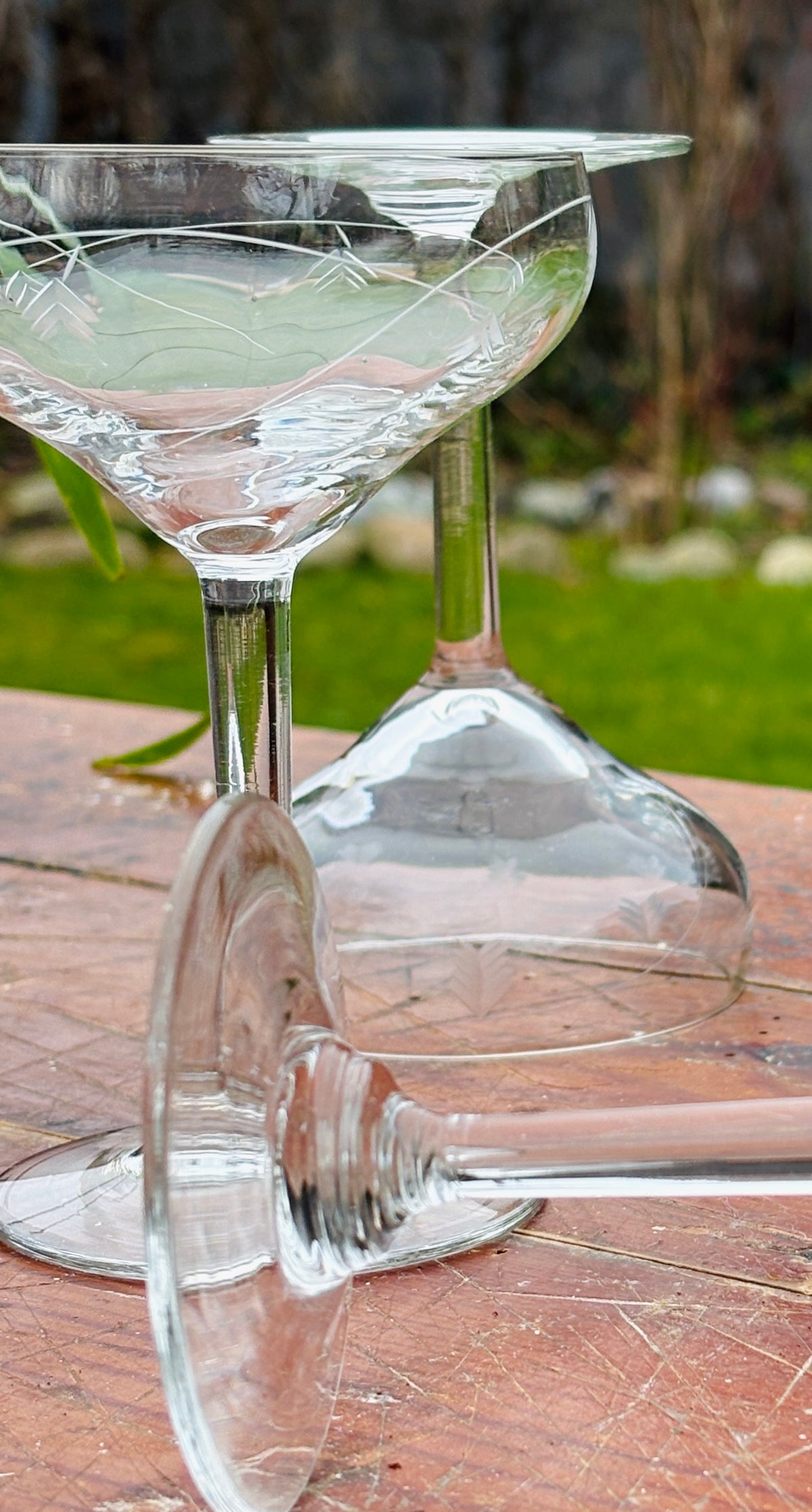 Franske champagneskåle