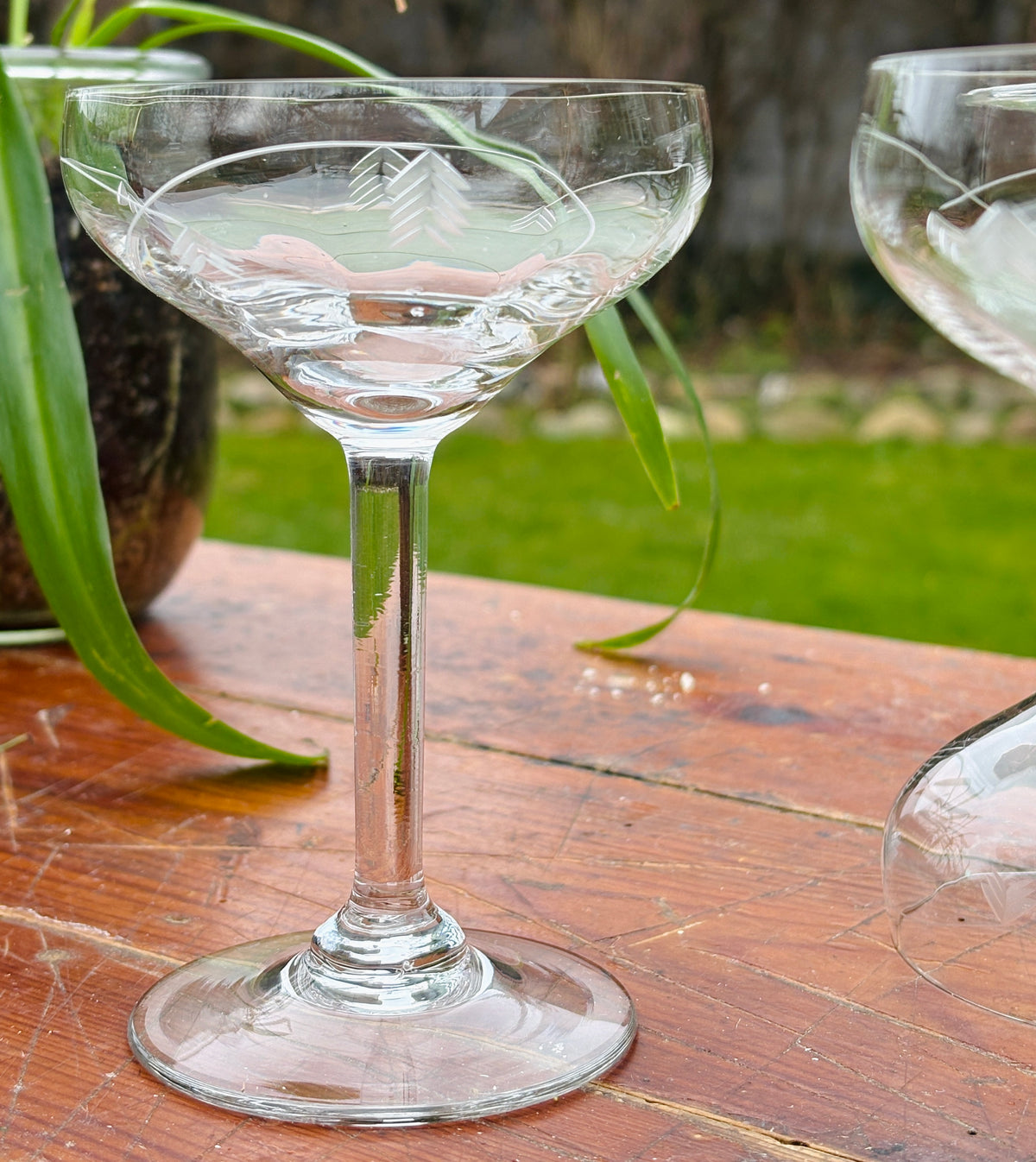 Franske champagneskåle