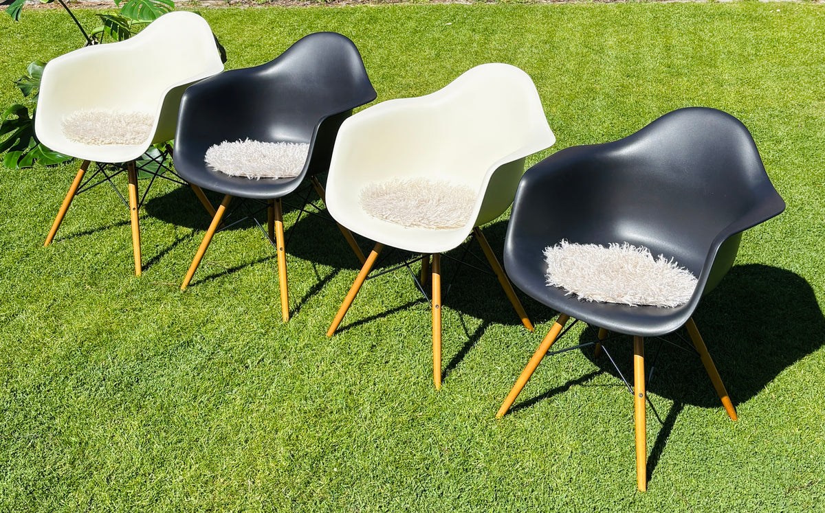 Eames Plastic Armchair DAW: Den sorte klassiker