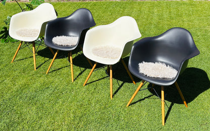 Eames Plastic Armchair DAW: Den sorte klassiker