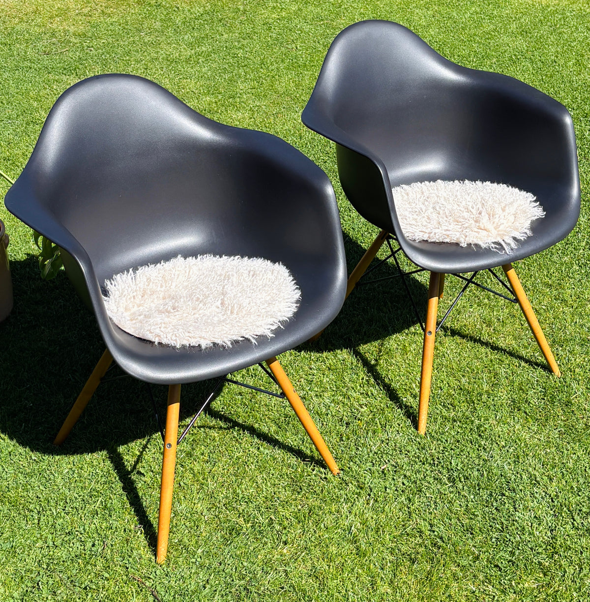Eames Plastic Armchair DAW: Den sorte klassiker