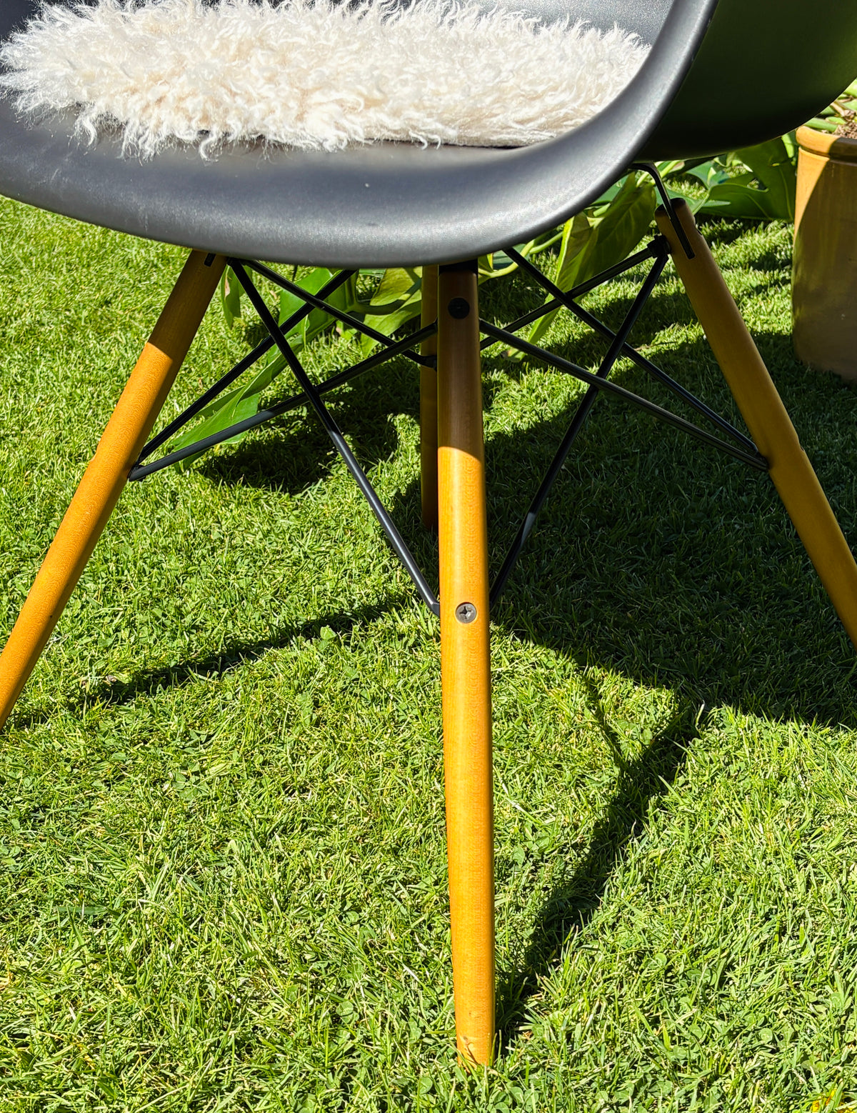 Eames Plastic Armchair DAW: Den sorte klassiker
