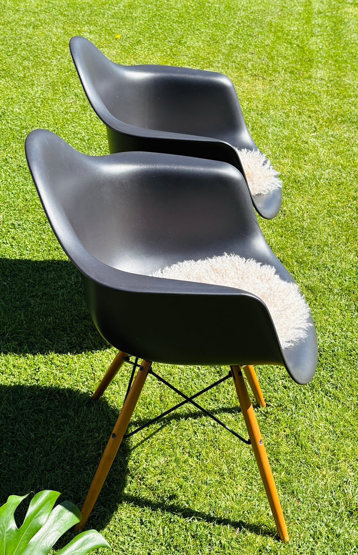 Eames Plastic Armchair DAW: Den sorte klassiker