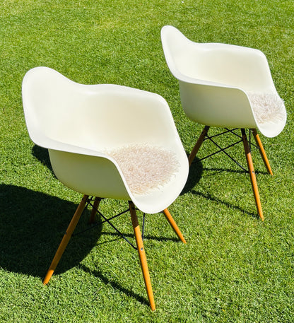 Eames Plastic Armchair DAW: The white classic