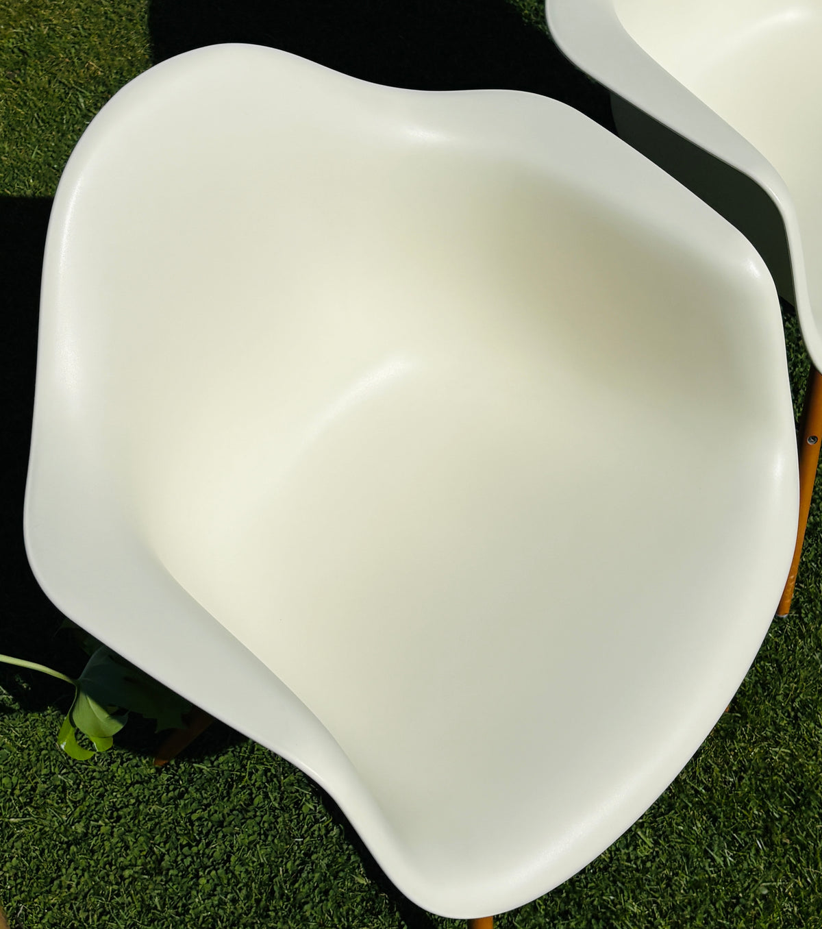 Eames Plastic Armchair DAW: The white classic