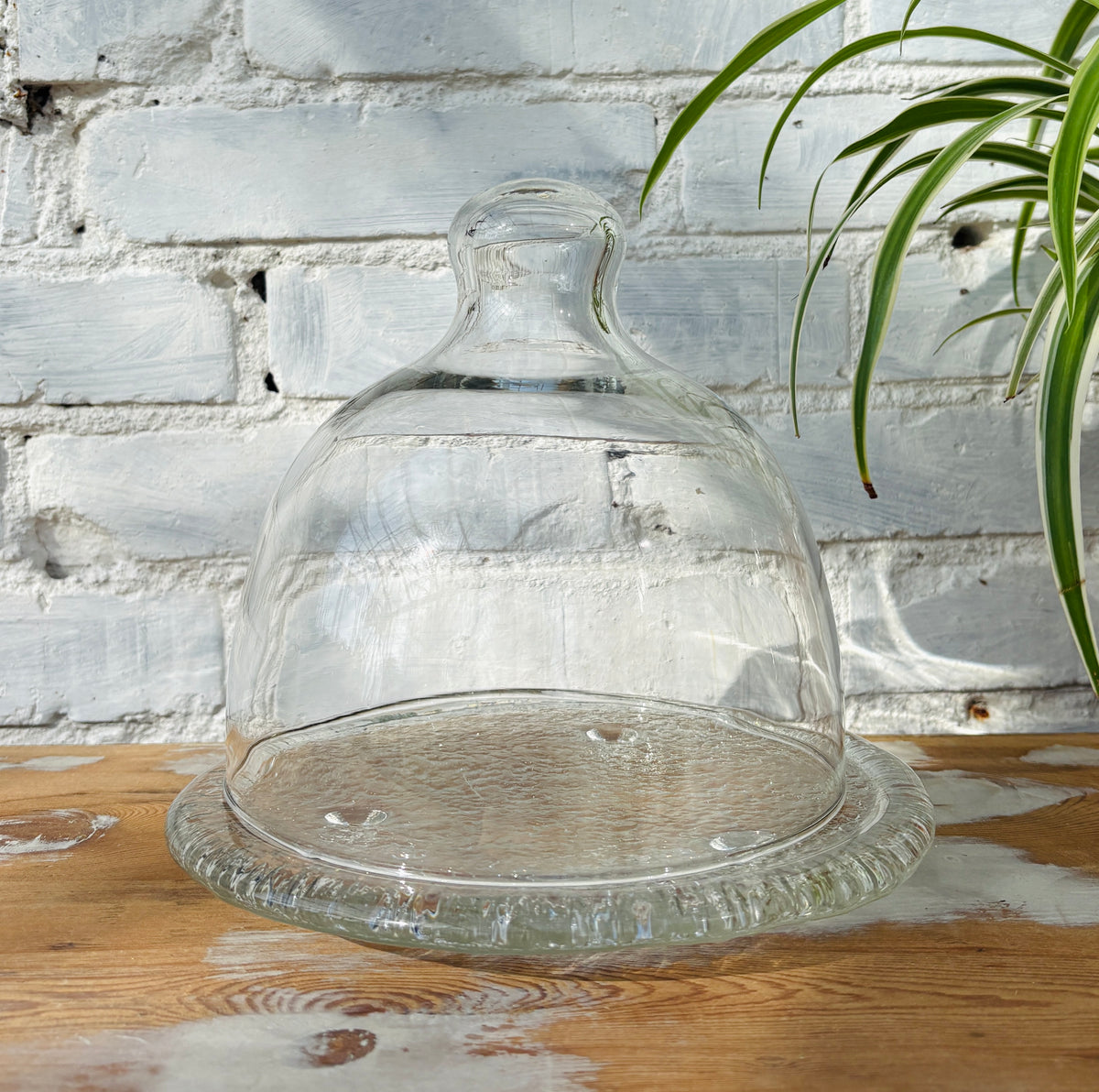 Vintage oste/glasklokke med struktureret bund.