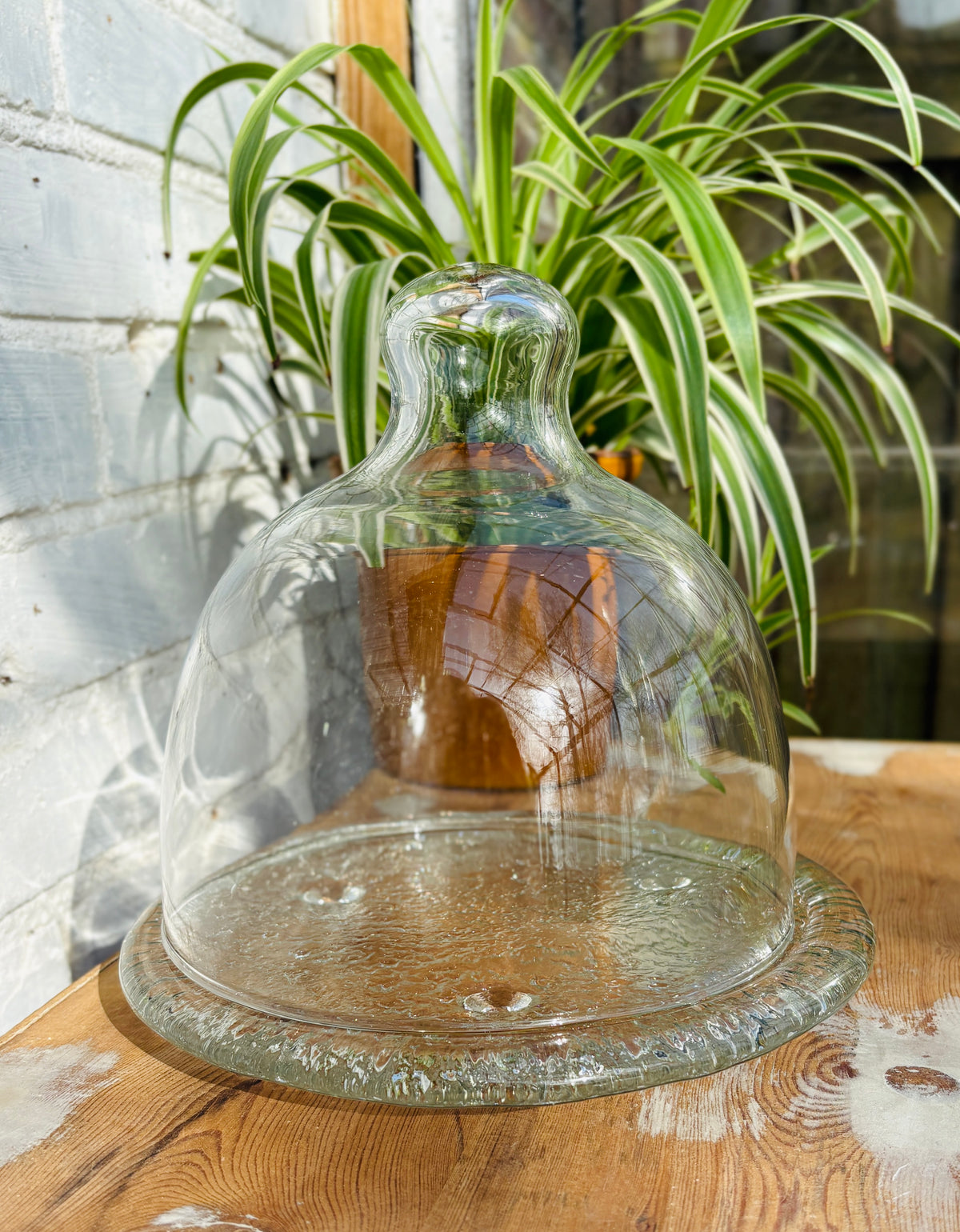 Vintage oste/glasklokke med struktureret bund.