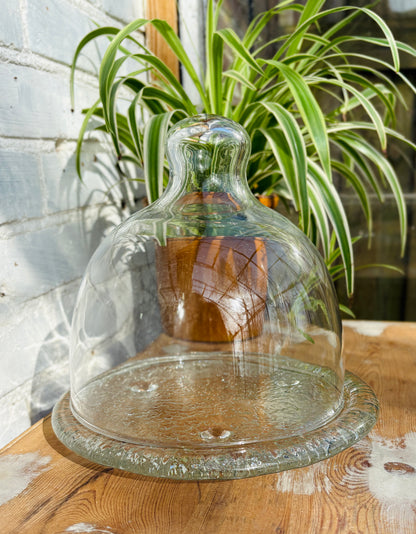 Vintage oste/glasklokke med struktureret bund.